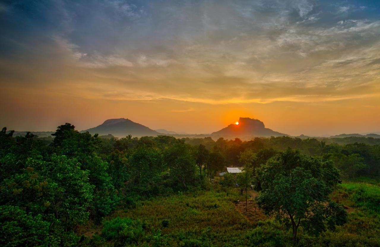 Choona Lodge 'View Of Sigiriya & Pidurangala With Sunrise' Exteriör bild